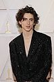 timothee-oscars