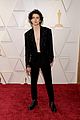 timothee-oscars