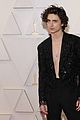 timothee-oscars