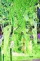 slimed-celebs