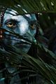 avatar-teaser-trailer
