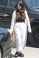 gomez-comfy