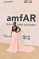 sabrina-amfar