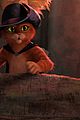 puss-trailer