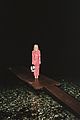 shipka-thom