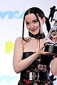 dove-win