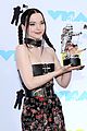 dove-win