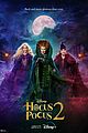 hocus-original