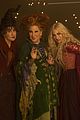 hocus-original