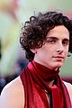 timothee-back