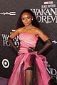 black-panther-premiere