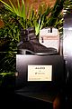 jordan-aldo
