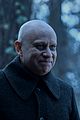 fred-fester