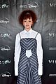 willow-screening