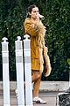 addison-lion
