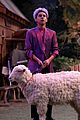 frankie-bunkd