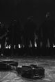 jonas-bway-final