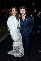 nick-priyanka-excellence
