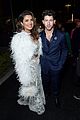 nick-priyanka-excellence