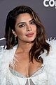 nick-priyanka-excellence
