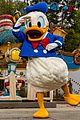 toontown-reopens