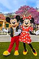 toontown-reopens