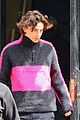 chalamet-another