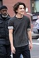 chalamet-another