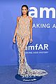 amfar-cannes