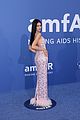 amfar-cannes