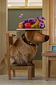 carl-trailer