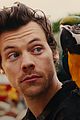 harry-daylight