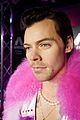 harry-wax