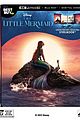 mermaid-release