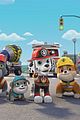 paw-patrol-rubble