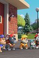 paw-patrol-rubble