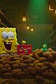 plankton-trailer